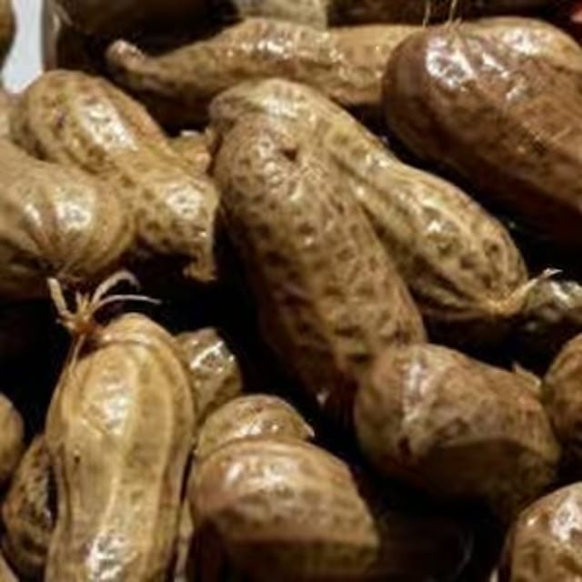 Boiled Peanuts.
